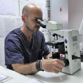 Martorell clínicas veterinarias