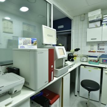 Laboratorio Clínico Laboratorio Clínico
