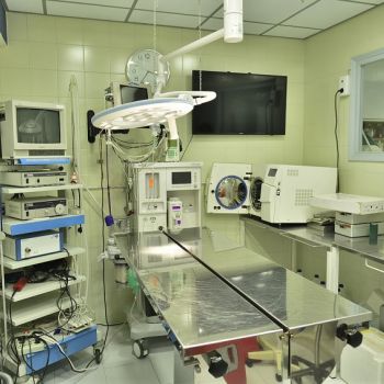 Quirófano principal Quirófano principal