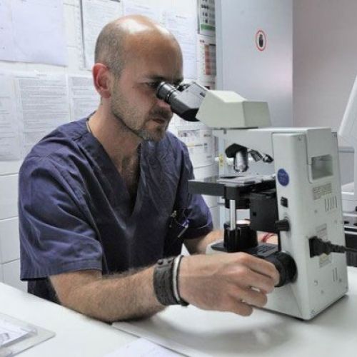 Martorell clínicas veterinarias